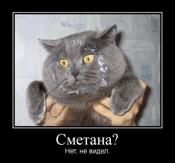 Сметана демотиватор