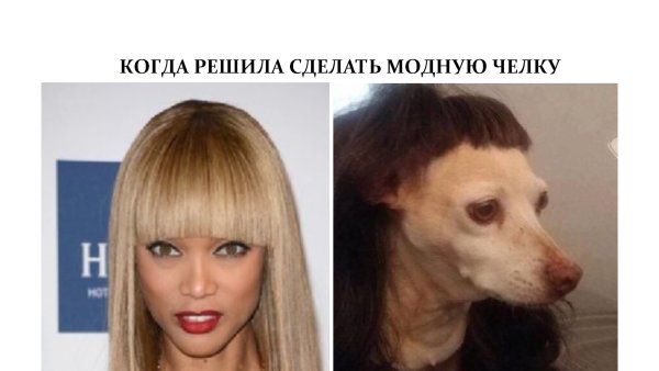 Подстригла челку ожидание реальность