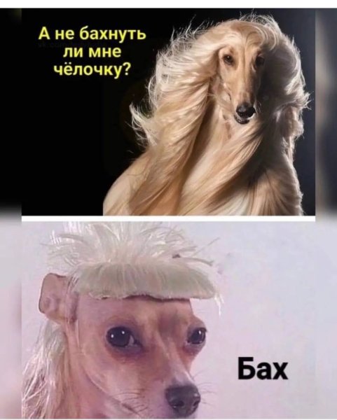 Мемы про челку