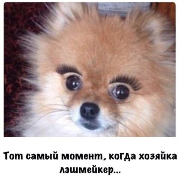 Прикольные картинки про ресницы нарощенные