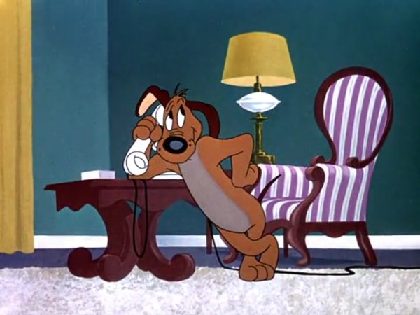 Собаки болтают