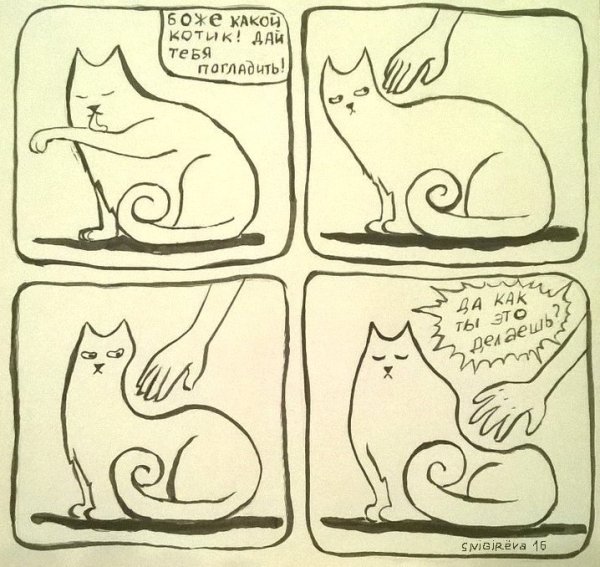 Пытаешься погладить кота