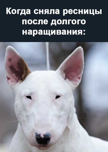 Когда сняла ресницы картинки прикольные