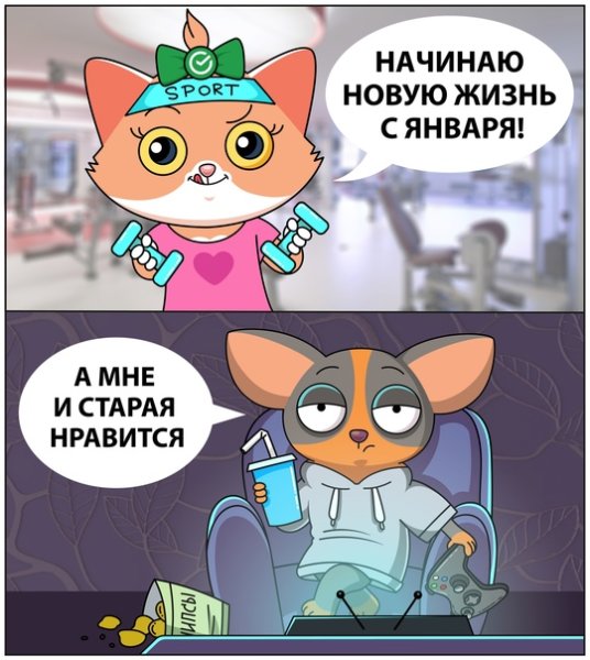СБЕРКОТ мемы