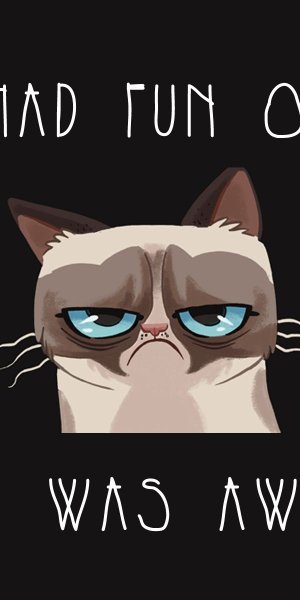 Обои на телефон котики