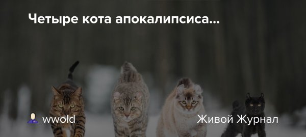 4 Кота апокалипсиса