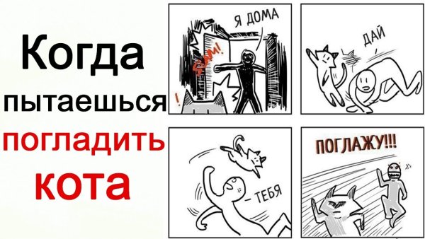 Кота гладят Мем