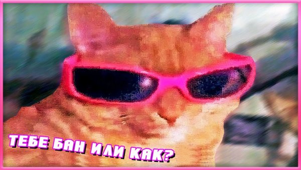 Кот в очках Мем