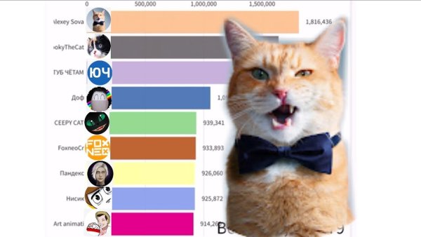 Алексей Сова мемы с котами