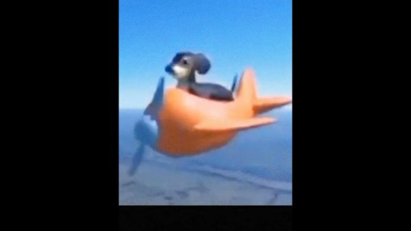 Летающая такса