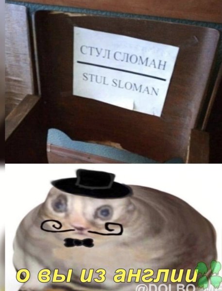 Кот на табуретке Мем