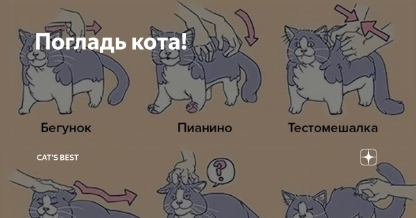 Погладь кота погладь кота