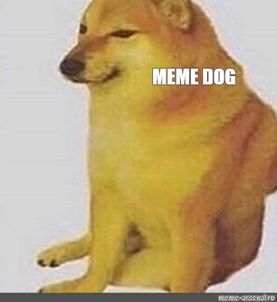 Рыжая собака сидит