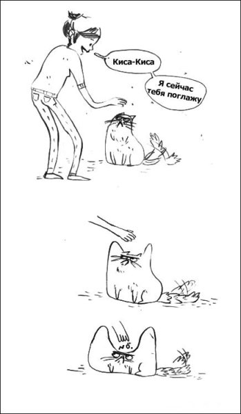 Кот не хочет чтобы его гладили
