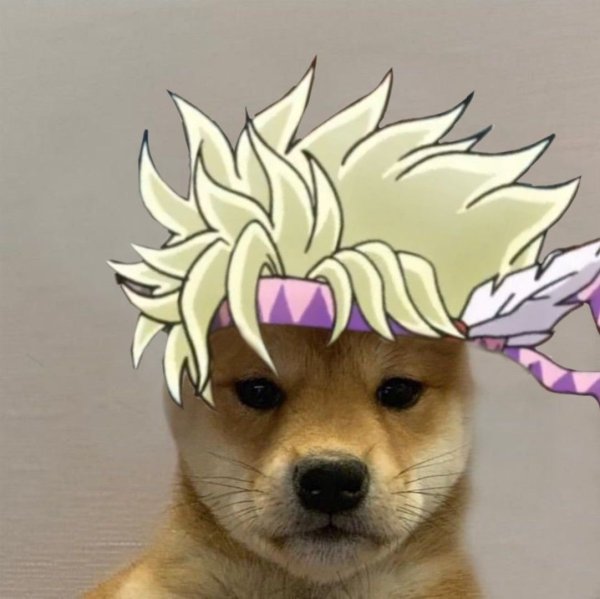 Собака с волосами