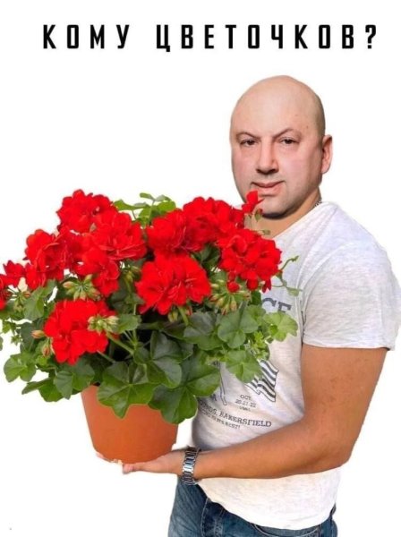 Суровикин с геранью