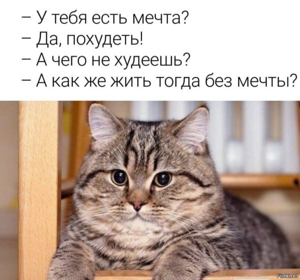 Мемы с надписями