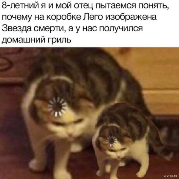 Кот с загрузкой на лбу