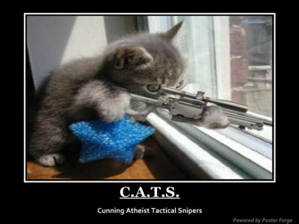 Кот убийца Мем