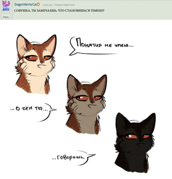 Коты Воители комикс полет Совы