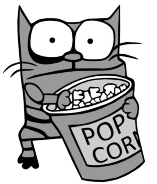 Кот ест попкорн gif