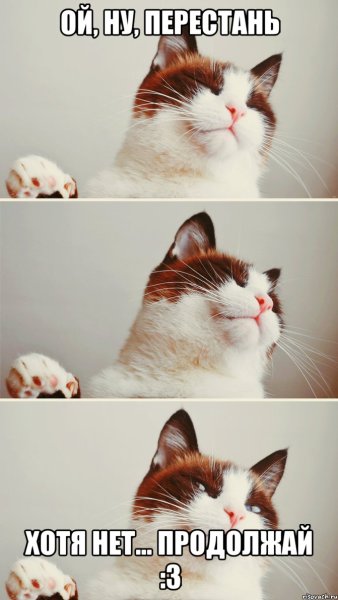 Перестань продолжай Мем