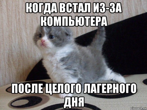 Котеночек проснулся Мем