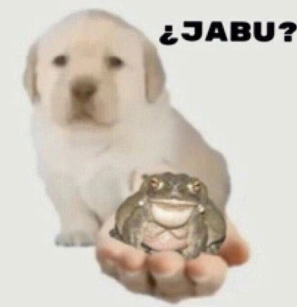 Жабу Мем щенок
