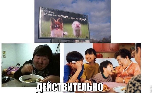 Юмор про корейцев