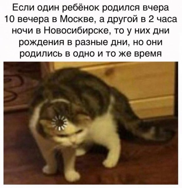 Кот с загрузкой на голове