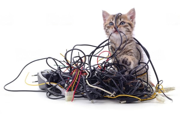 Кот перегрыз провод