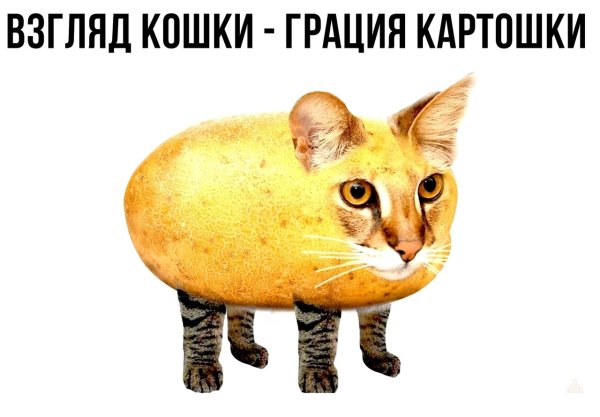 Кошка картошка