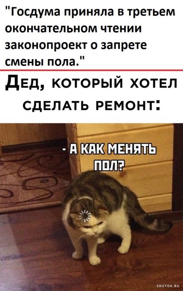 Котик с загрузкой в голове