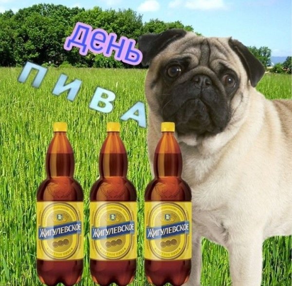 Мемы про пиво