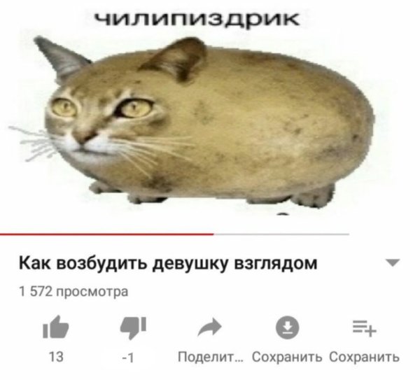 Кошка картошка