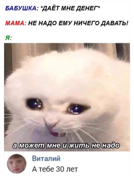 Мему с плачущими котами