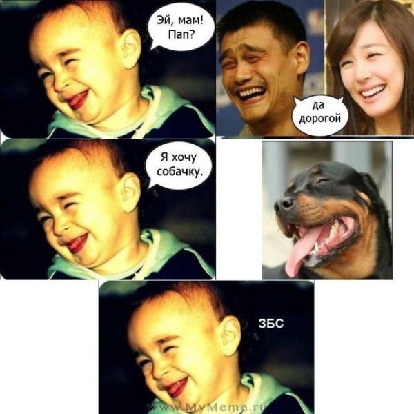 Мем собака и ребенок