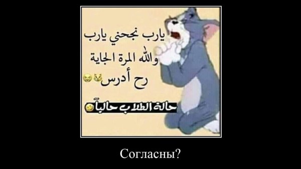 Том молится Мем