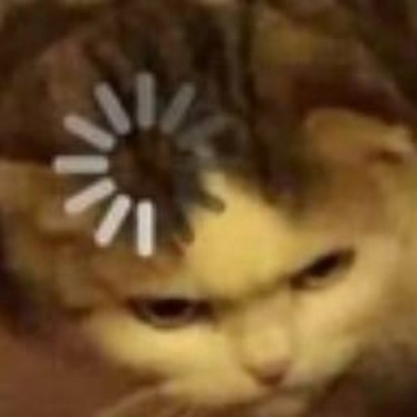 Кот загрузка