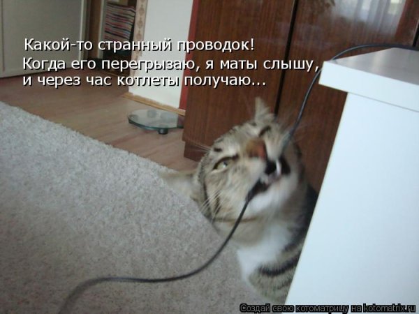 Перекусить провод