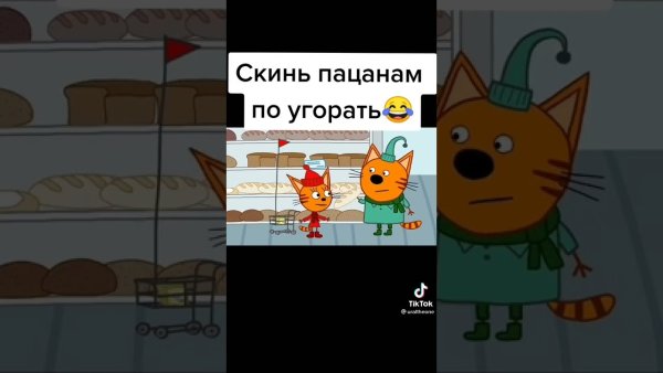 Мемы про трёх котов