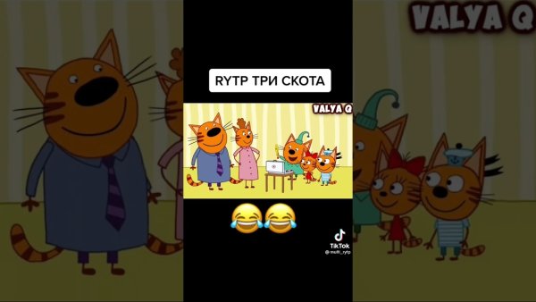 Три кота приколы
