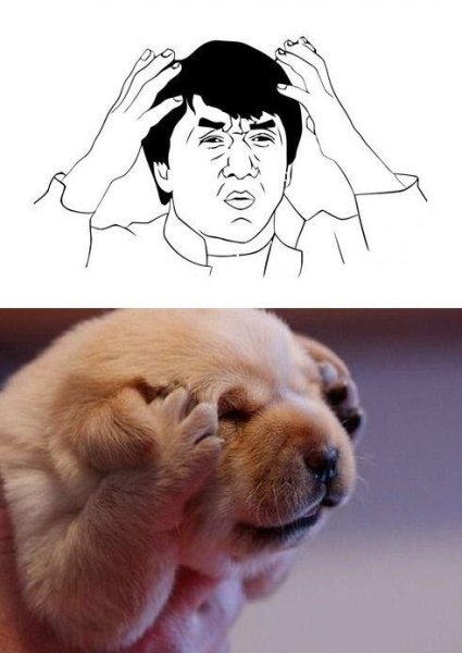 Мемы с собаками