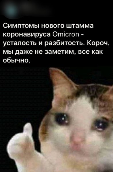 Плачущий кот показывает класс