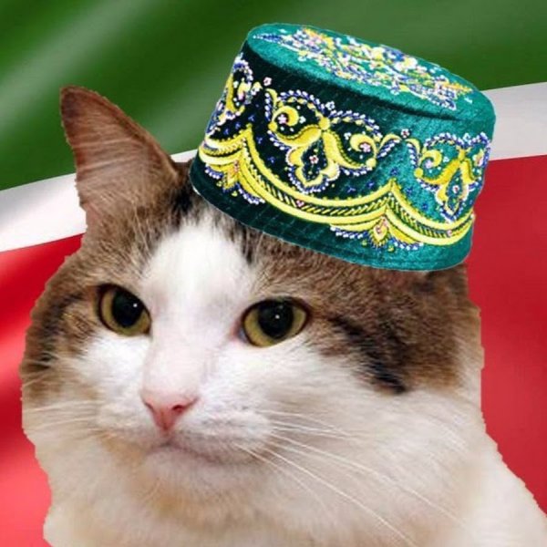 Кот в тюбетейке татарской