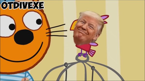 Три кота мемы