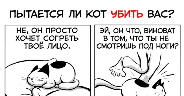 Кот убийца комикс