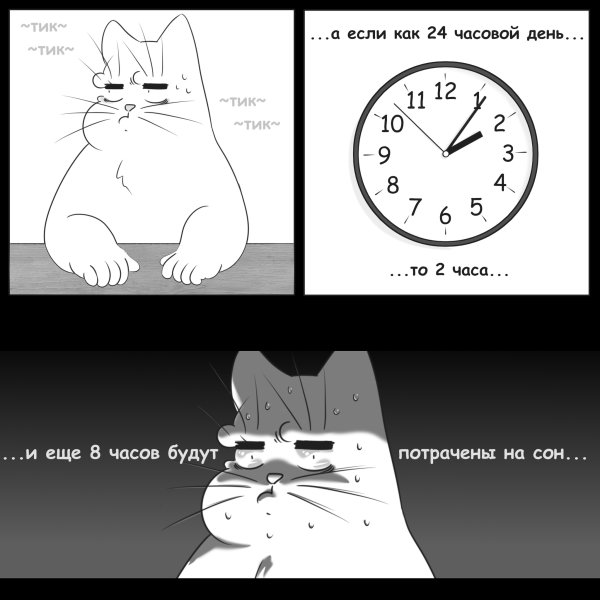 Мемы с котом и часами