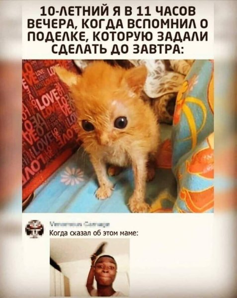 Поделка Мем