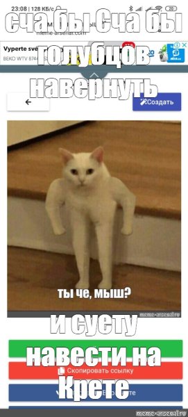 Так блэт Мем кот